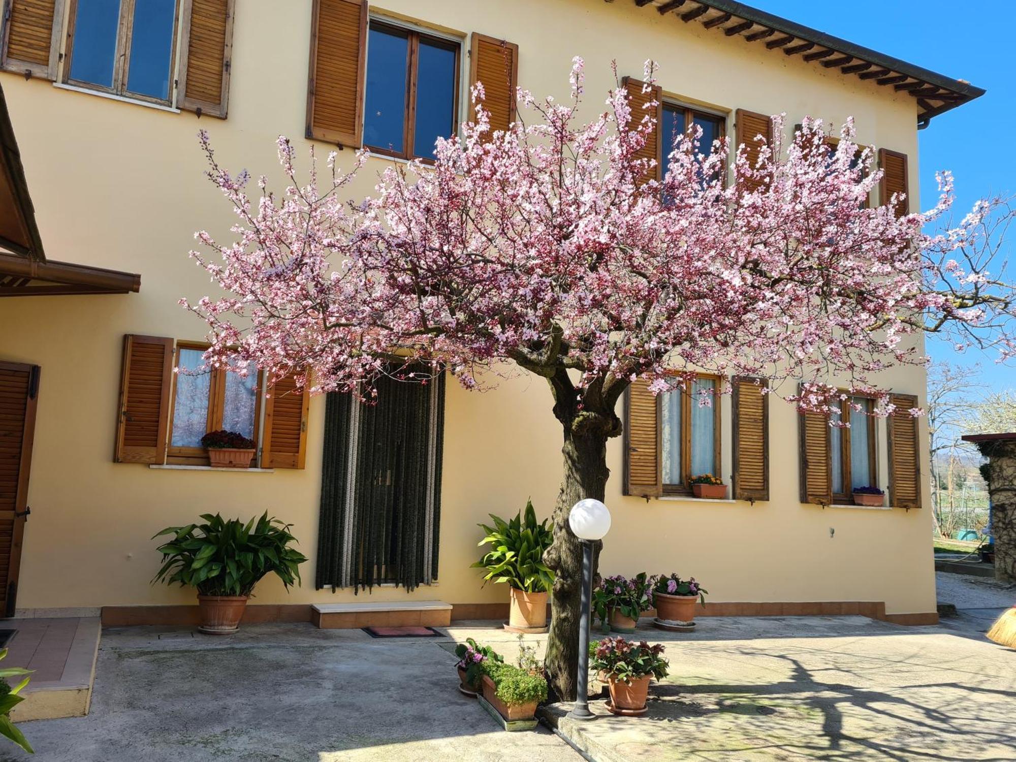B&B Barbara Assisi Cannara Exterior photo