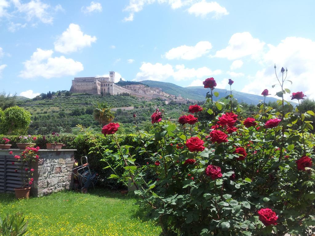B&B Barbara Assisi Cannara Room photo