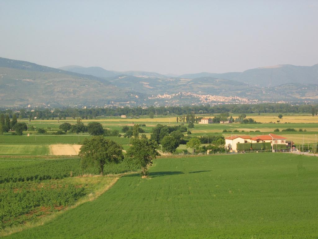B&B Barbara Assisi Cannara Exterior photo